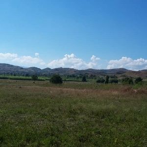 Meet your Posher, Thierry